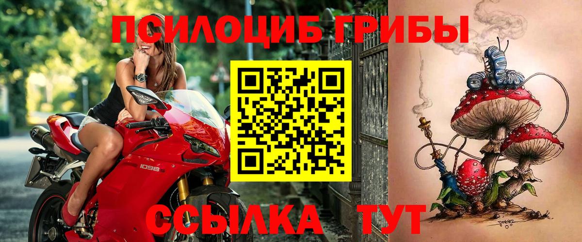 Галлюциногенные грибы MAGIC MUSHROOMS Апшеронск