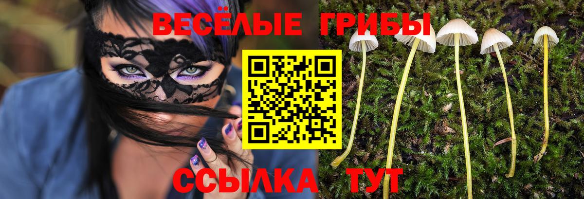 Галлюциногенные грибы Cubensis  Вход с VPN  Галлюциногенные грибы Psilocybe  Апшеронск 